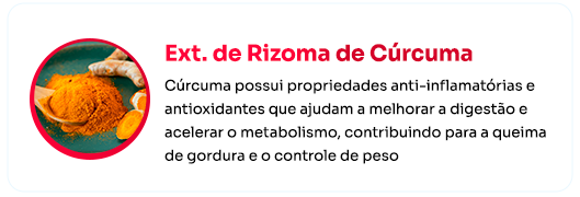 Ext.-de-Rizoma-de-Curcuma.png