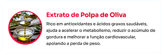 Polpa-de-Oliva.png